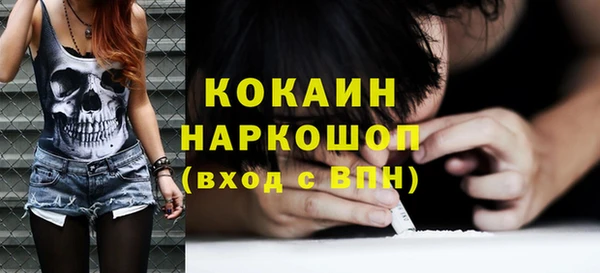 прущие грибы Абинск