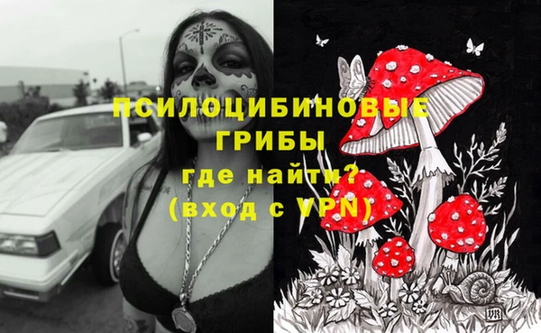 кокс Алексин