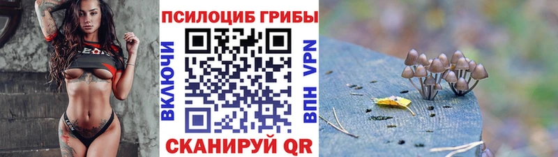 где найти наркотики  Яхрома  Псилоцибиновые грибы ЛСД 